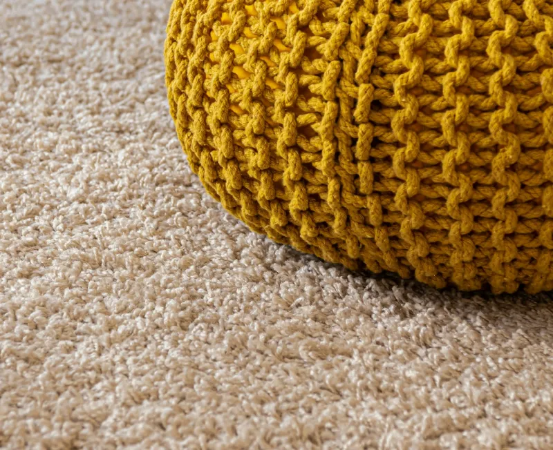 carpet clean service louisville ky